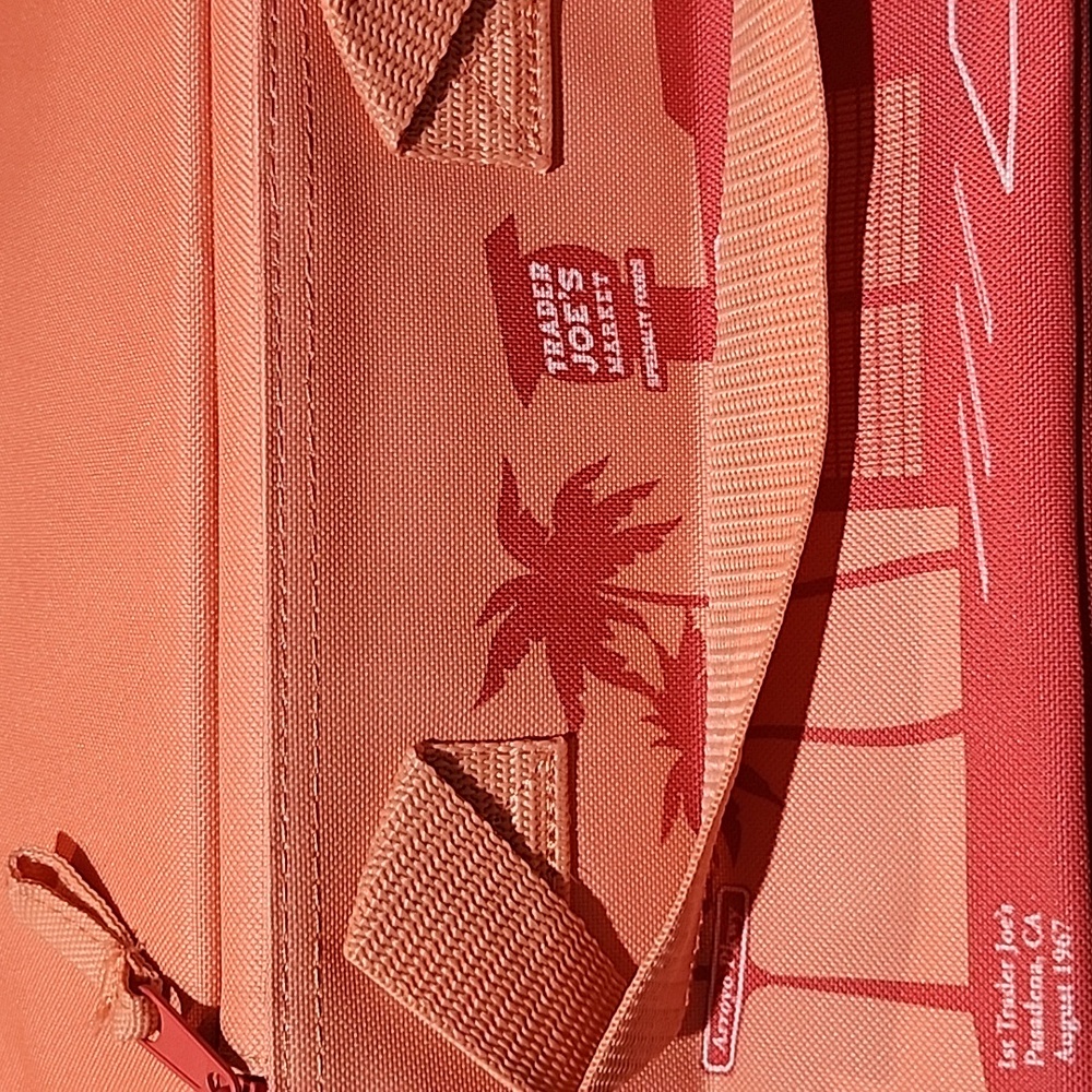Trader Joe's peach orange food carrier